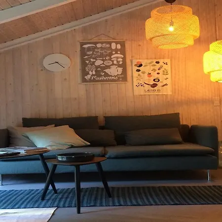Laeso Holiday home *